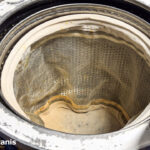 Miellerie_Tavillons-2026-010